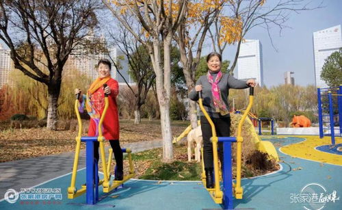 文明實踐新風(fēng)尚，志愿服務(wù)譜新篇——張家港市文明實踐志愿服務(wù)主題公園建成投用