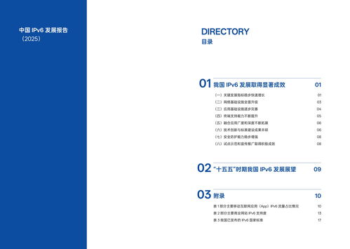 我國IPv6發(fā)展實現(xiàn)跨越式突破 2025年活躍用戶達8.65億推動互聯(lián)網開發(fā)與應用